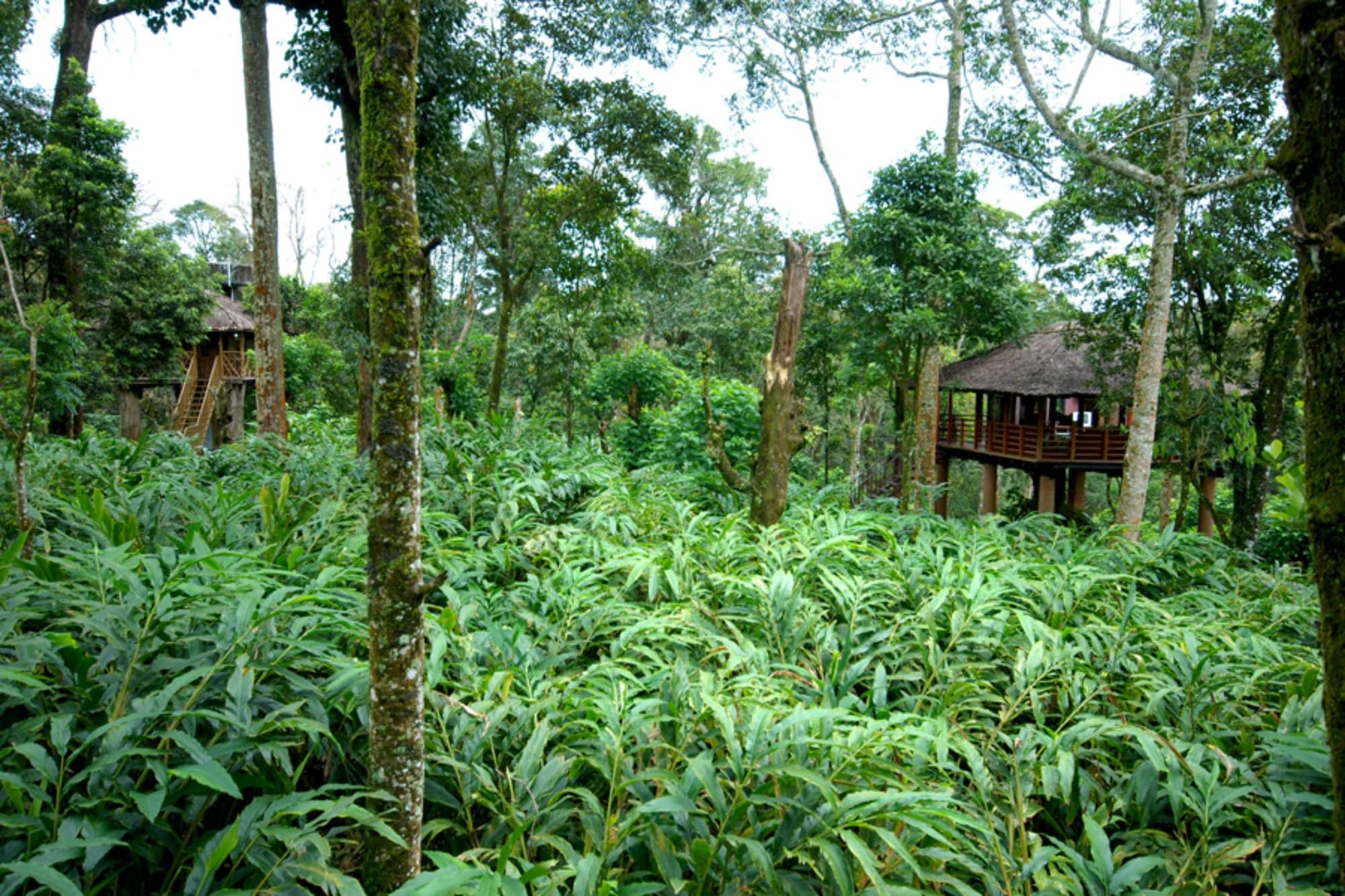 Carmelia Haven Resort Thekkady Luaran gambar