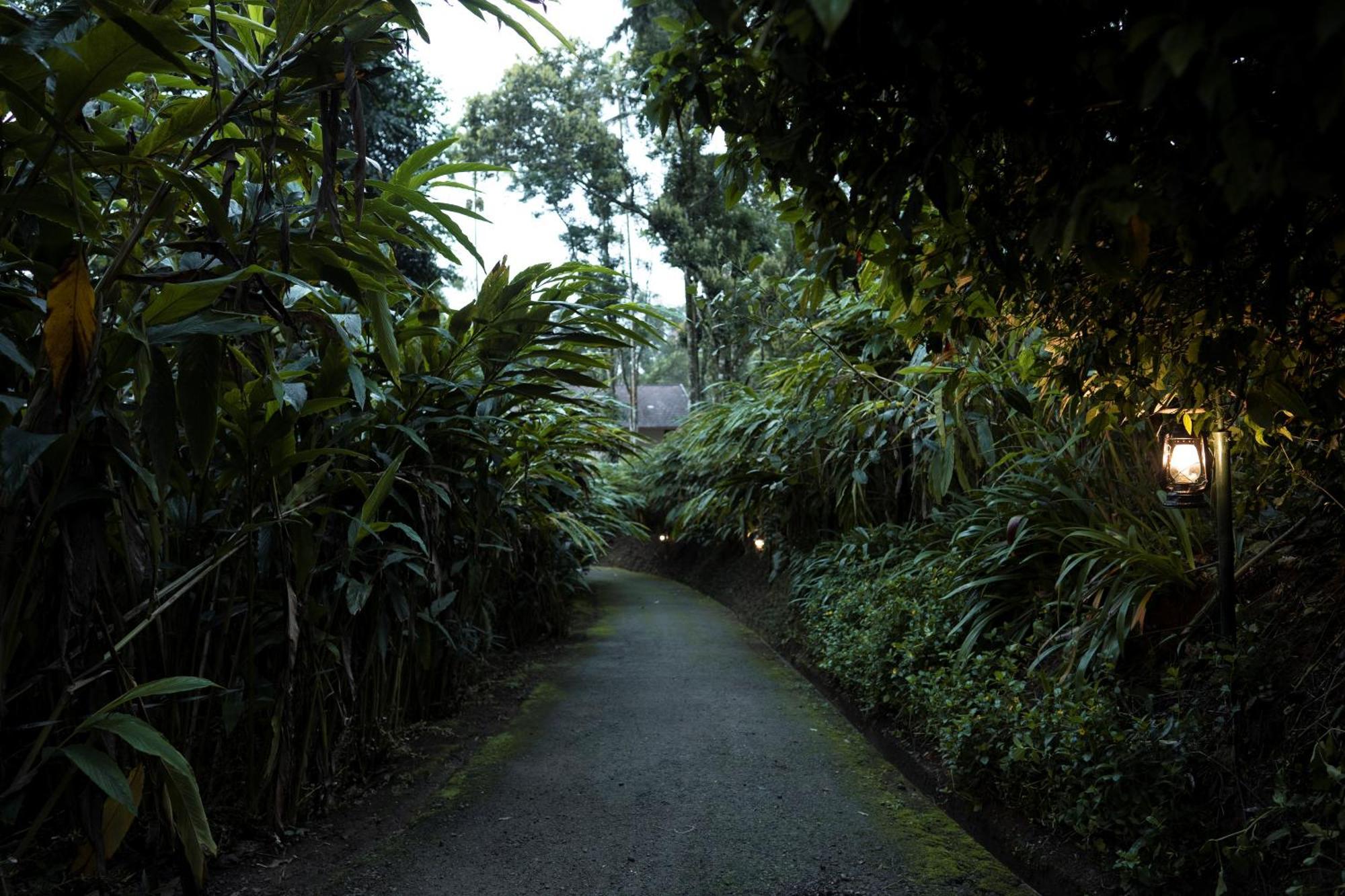 Carmelia Haven Resort Thekkady Luaran gambar
