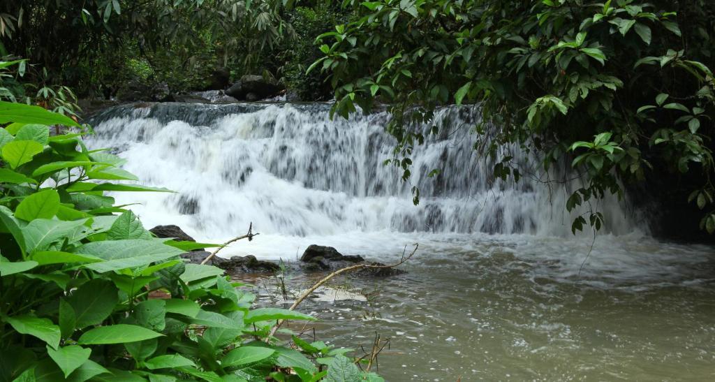 Carmelia Haven Resort Thekkady Luaran gambar